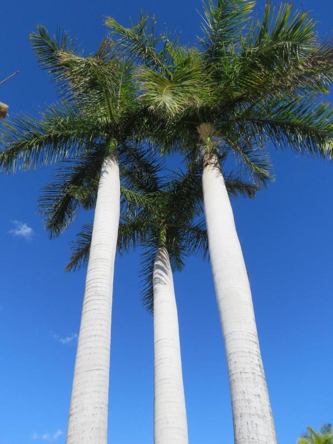 Casa Sur Villa Playa del Inglés Buitenkant foto